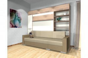 Шкаф-кровать с диваном Каролина в Шарыпово - sharypovo.katalogmebeli.com | фото 4